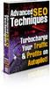 Thumbnail  *NEW!* Advanced SEO Techniques - Turbocharge Your Traffic & Profits on Autopilot- Private Label Rights
