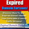 Thumbnail *NEW!* Expired Domain Fortunes with Existing Traffic Streams - Master Resell Rights