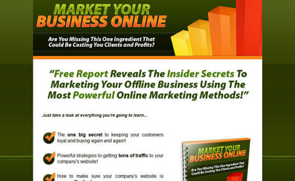 Product picture *NEW!* Offline Squeeze Page With Report 