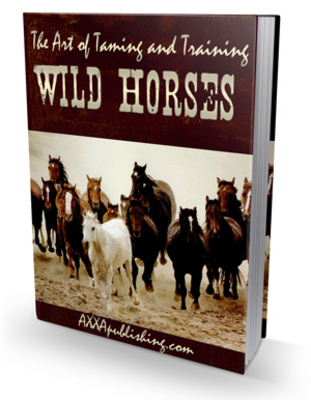 Product picture *NEW!* The Art Of Taming And Training Wild Horses Plr!