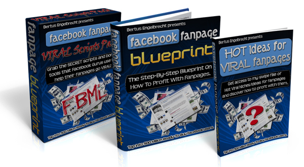 Product picture *NEW!* Facebook Fanpage Blueprint