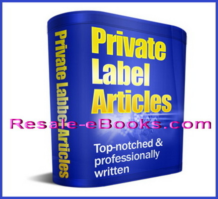 Product picture *NEW!* 1400 Finance Student Loans PLR Articles 