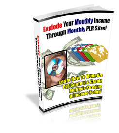 Product picture *NEW!* Explode Your Monthly Income Through Monthly PLR Sites - PRIVATE LABEL RIGHTS