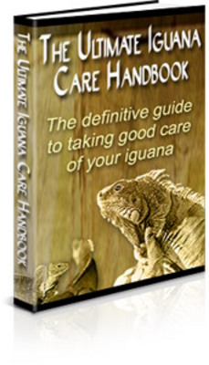 Product picture  *NEW!* Ultimate Iguana Care Handbook - Guide to Taking Good Care of Your Iguana - Private Label Rights