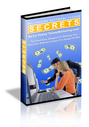 Product picture *NEW!*  Millionaire Software Tycoon Secrets - Liz Tomey - MASTER RESALE RIGHTS