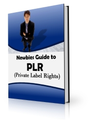 Thumbnail *NEW!* Newbie Guide To PLR | Learn The Magic Formula For Making a Fortune, Over and Over Again With Private Label Rights Products - Master Resale Rights Thumbnail *NEW!* Newbie Guide To PLR | Learn The Magic Formula For Making a Fortune, Over and Over Again With Private Label Rights Products - Master Resale Rights