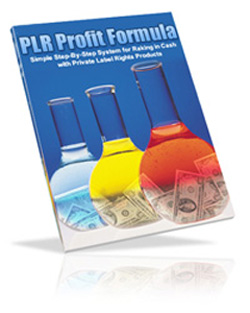 Product picture *NEW!* The PLR Profit Formula - Learn The Magic Formula For Making a Fortune, Over and Over Again With Private Label Rights Products