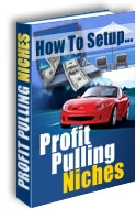 Product picture *NEW!*  How to Set Up Profit Pulling Niches eBook Resell Right
