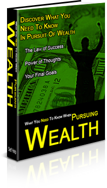 Product picture *NEW* The Secrets Of Pursuing Wealth Ebook