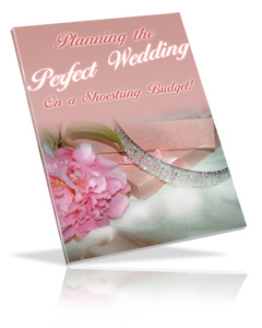 Product picture *NEW* Planning the Perfect Wedding on a Shoestring Budget ebook