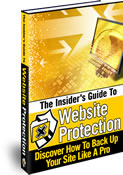Product picture *NEW!* Insider s Guide to Website Protection - Master  Resale Rights | Discover How To Back Up Your Site Like A Pro